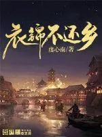 《衣锦不还乡》小说封面