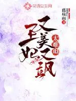 《王妃又美又飒》小说封面