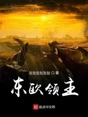 《东欧领主》小说封面
