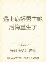 《遇上病娇男主她后悔重生了》小说封面