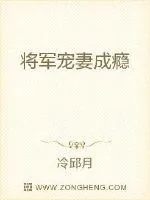 《将军宠妻成瘾》小说封面