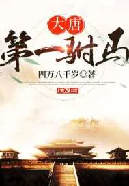 《大唐第一驸马》小说封面