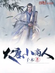 《大唐小商人》小说封面