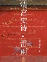 《清宫史诗雷雨》小说封面