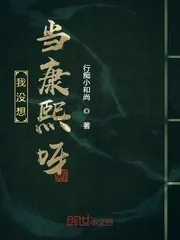 《我没想当康熙呀》小说封面