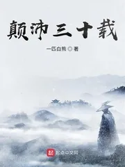 《颠沛三十载》小说封面