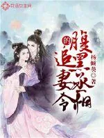 《腹黑丞相的追妻令》小说封面