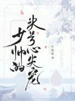《少帅的头号心尖宠》小说封面