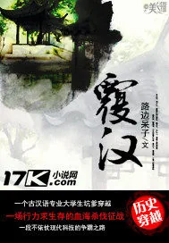 《覆汉》小说封面