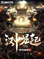 《汉中崛起》小说封面