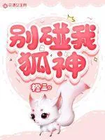 《别碰我狐神》小说封面