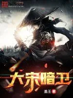 《大宋暗卫》小说封面