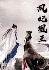 《凤妃凰王》小说封面