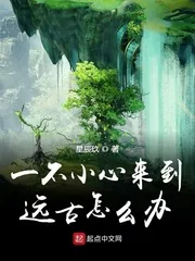 《一不小心来到远古怎么办》小说封面