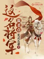 《这名将军温柔点》小说封面