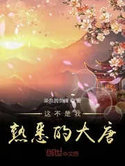 《这不是我熟悉的大唐》小说封面