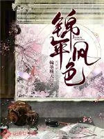 《锦年风色》小说封面