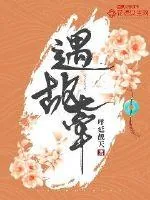 《遇故牵》小说封面