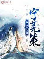 《宁芜策》小说封面