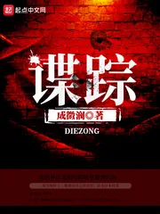 《谍踪》小说封面