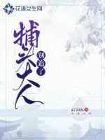 《捕头大人别追了》小说封面