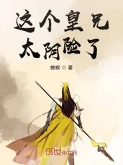 《这个皇兄太阴险了》小说封面