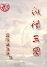 《纵情三国》小说封面