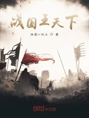 《战国王天下》小说封面