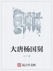 《大唐杨国舅》小说封面