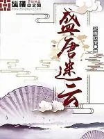《盛唐迷云》小说封面