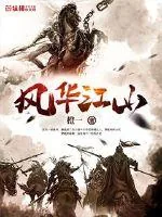 《风华江山》小说封面