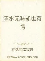 《清水无味却也有情》小说封面