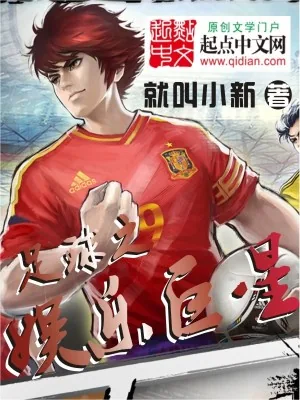 《足球之娱乐巨星》小说封面