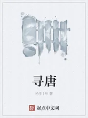 《寻唐》小说封面