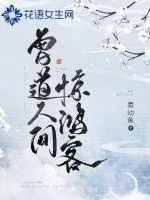 《曾道人间惊鸿客》小说封面