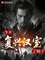 《今天复兴汉室了吗？》小说封面