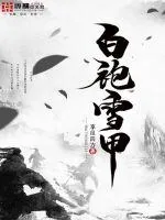 《白袍雪甲》小说封面