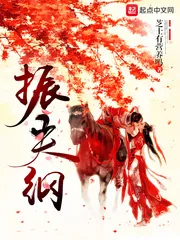 《振夫纲》小说封面