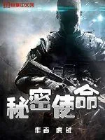 《秘密使命》小说封面