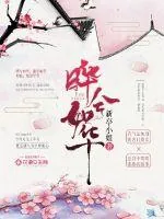 《晔兮如华》小说封面