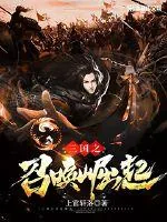 《三国之召唤崛起》小说封面