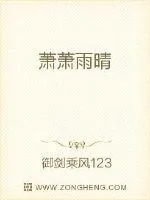 《萧萧雨晴》小说封面