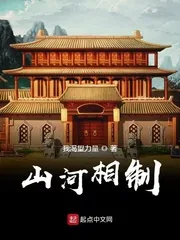 《山河相制》小说封面