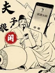 《夫子很闲》小说封面