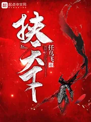 《挟天下》小说封面