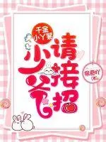 《千金小丫鬟：少爷，请接招》小说封面