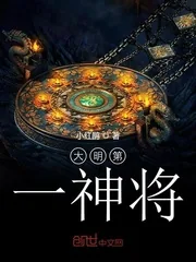 《大明第一神将》小说封面