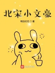 《北宋小文豪》小说封面