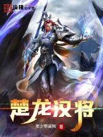 《楚龙汉将》小说封面