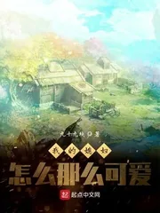 《我的媳妇怎么那么可爱》小说封面